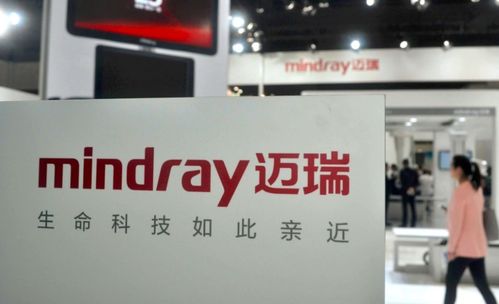 下半年北上資金增持前15強出爐 兩股獲北上資金增持超百億